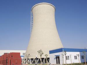 德赢VWIN中标斯里兰卡15MW生物质发电项目