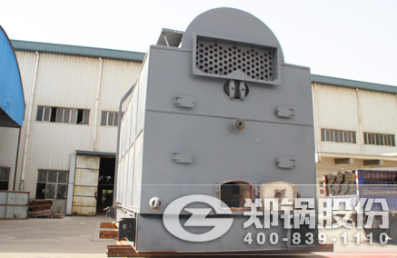 DZL链条炉排锅炉 - 德赢VWIN