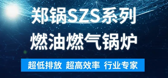 环保先锋 | 德赢VWINSZS系列燃油燃气锅炉剖析