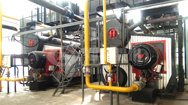 德赢VWIN燃气锅炉——为清洁供热生长按下快进键