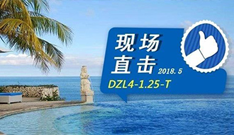 现场直击丨看生物质锅炉在巴厘岛怎样强操作，，，，，转头客非它不选