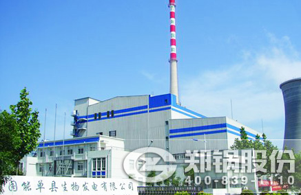 稻壳秸杆生物质发电锅炉 - 德赢VWIN