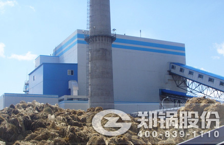 稻壳秸杆生物质发电锅炉 - 德赢VWIN