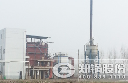 QXX低速内循环流化床锅炉 - 德赢VWIN