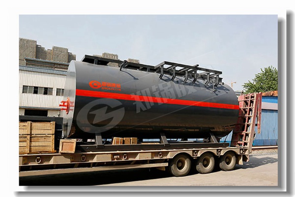 10吨食物厂用燃油或燃气锅炉