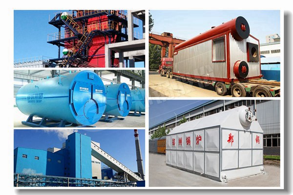 饲料厂蒸汽锅炉自然气