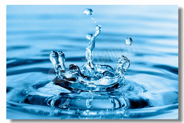 炉排炉同cfb锅炉较量有什么区别？？？？？