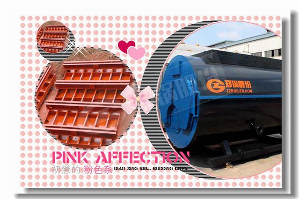 普遍使用的2吨固体燃料锅炉