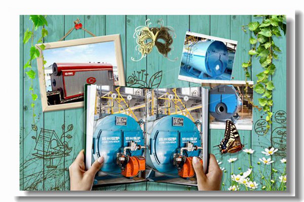 双燃料蒸汽锅炉，，，，，，，，压力16kg