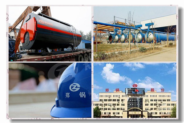 具有竞争力的价钱用于除草的柴油蒸汽锅炉